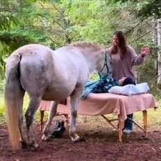 Shana working beside a horse during an outdoor session